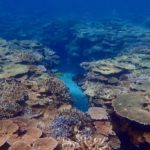 世界遺産登録間近? 奄美大島と加計呂麻島