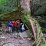 子供と一緒に屋久島の自然を楽しんできました