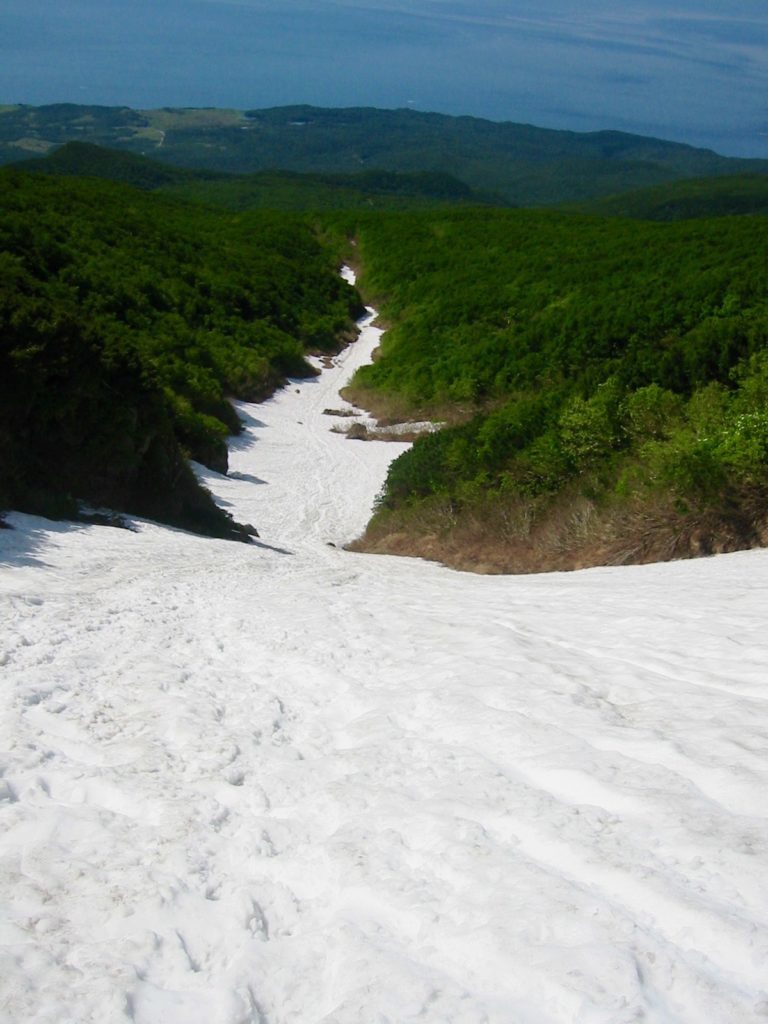 羅臼岳の雪渓
