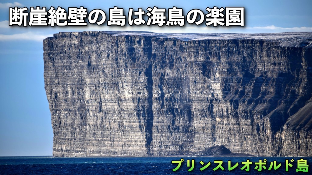 北極圏 断崖絶壁の驚異の島は海鳥の楽園でした